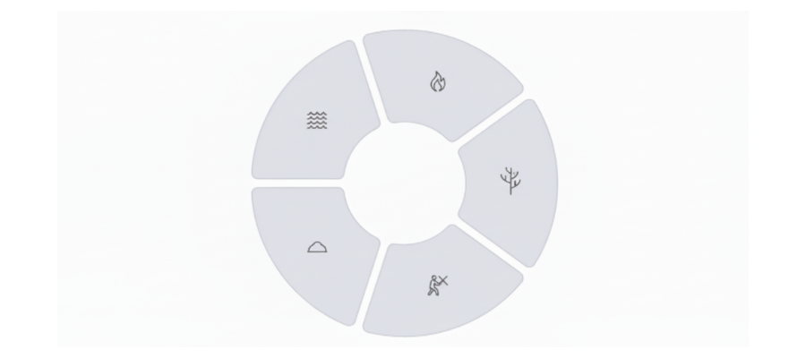Teoria dos Cinco Elementos – MTC